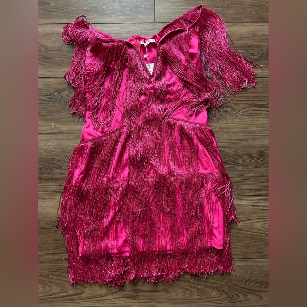 NWT Shimmer Fringe Mini Dress Sz L